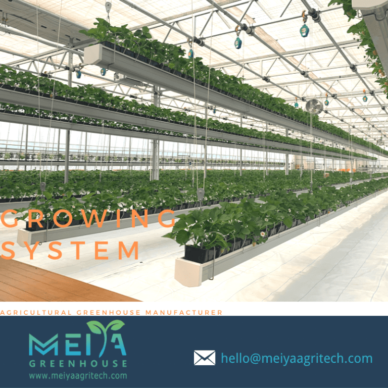 Meiya Greenhouse Liftable Growing System