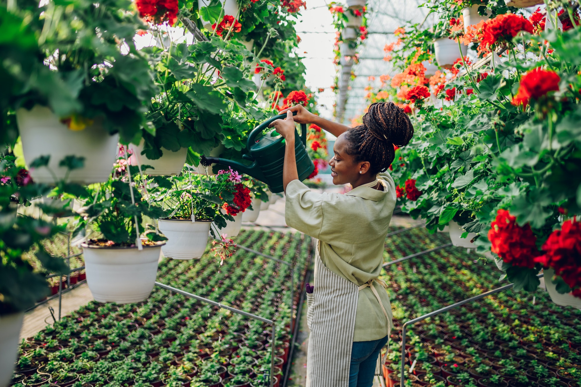 African woman working in a greenhouse flower plant nursery