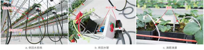 Irrigation water supply and return system