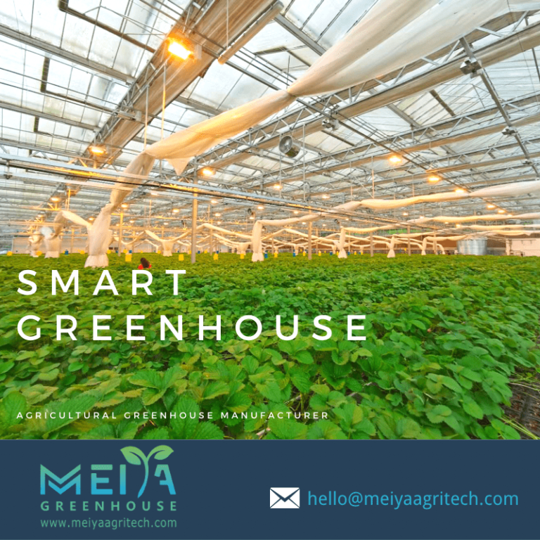 Meiya Smart Greenhouse