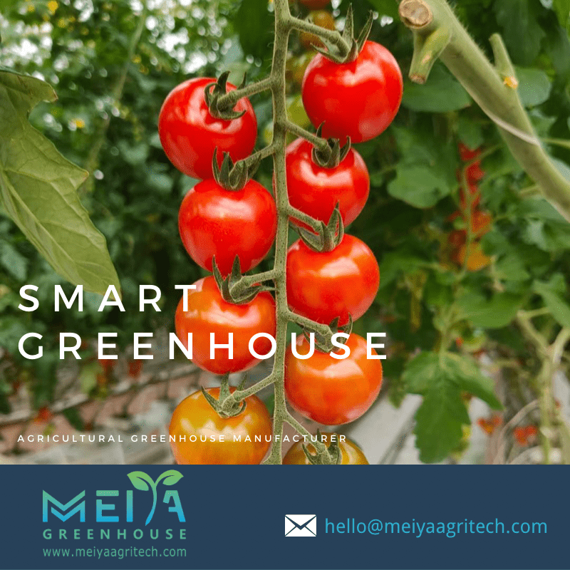 MEIYA SMART GREENHOUSE