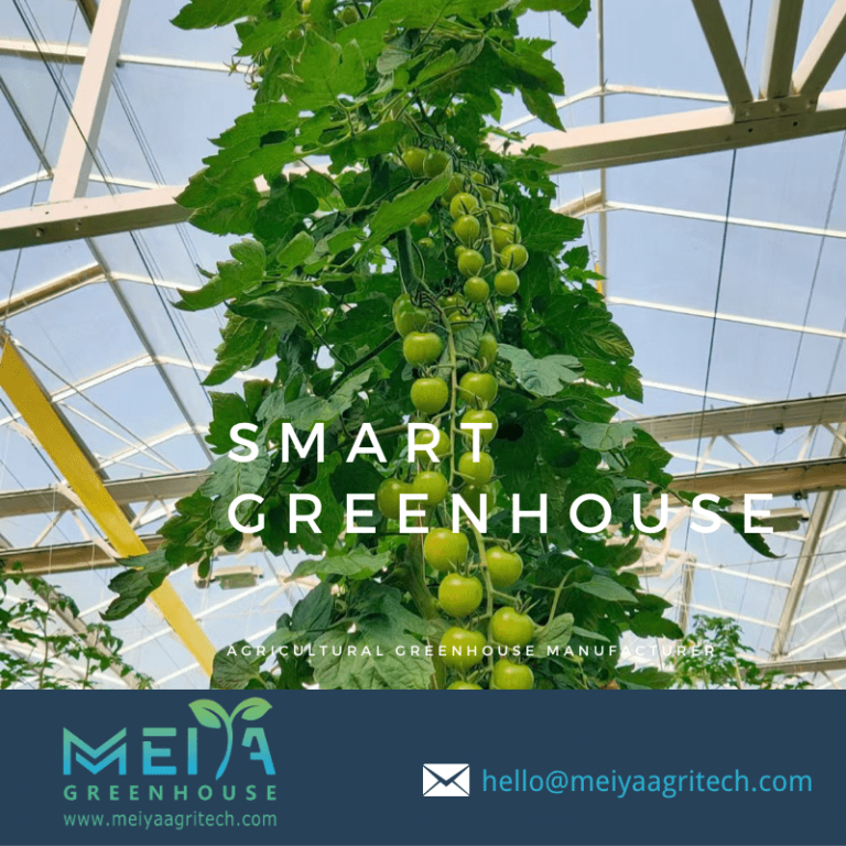 MEIYA SMART TOMATO GREENHOUSE